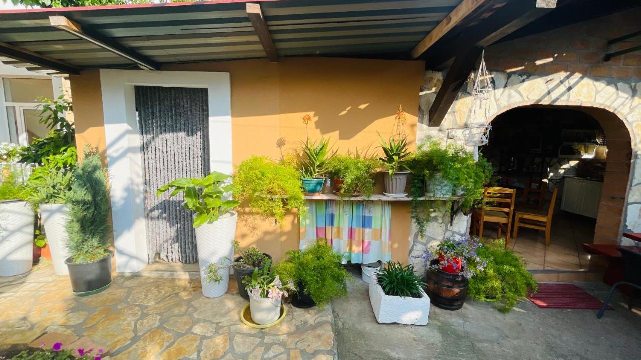 Colorful And Happy Apartment Sukosan - With Parking Екстер'єр фото